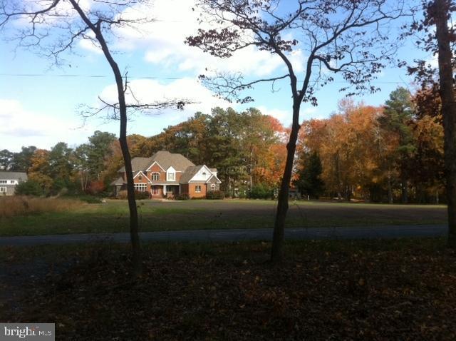 Lot 1 Collins Road Bishopville, MD 21813 - Photo 3 of 4 Gallery Image 3