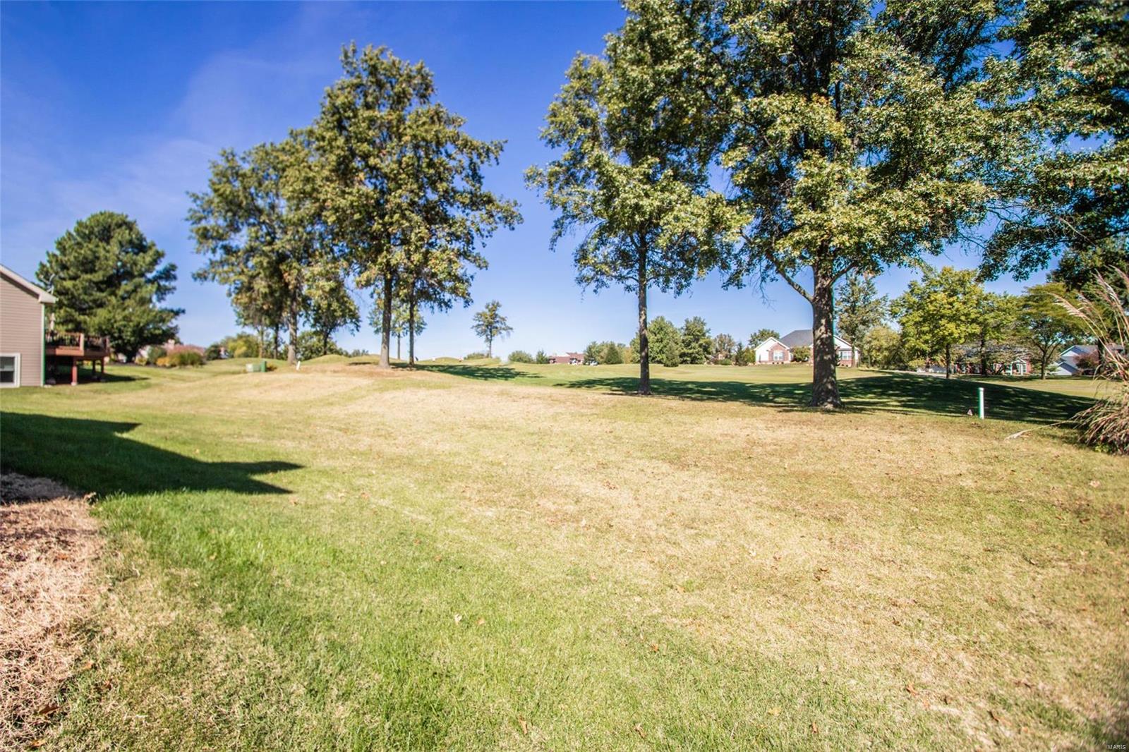 134 Roehampton Lane Weldon Spring, MO 63304 - Photo 66 of 96