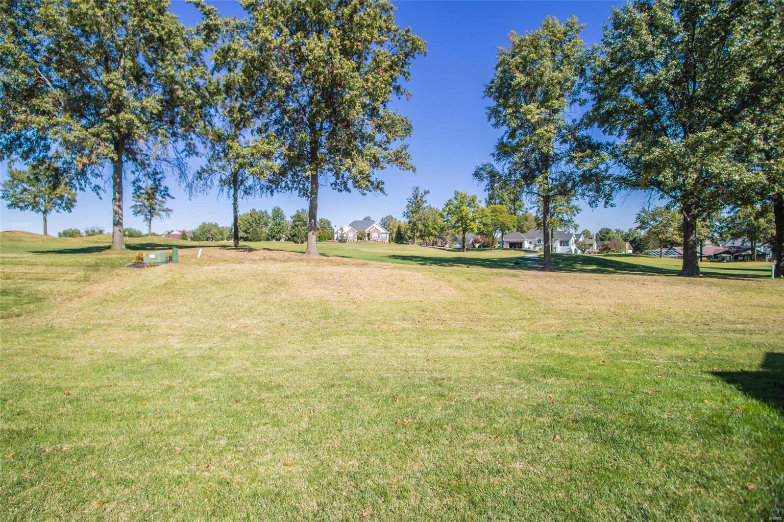 134 Roehampton Lane Weldon Spring, MO 63304 - Photo 67 of 96