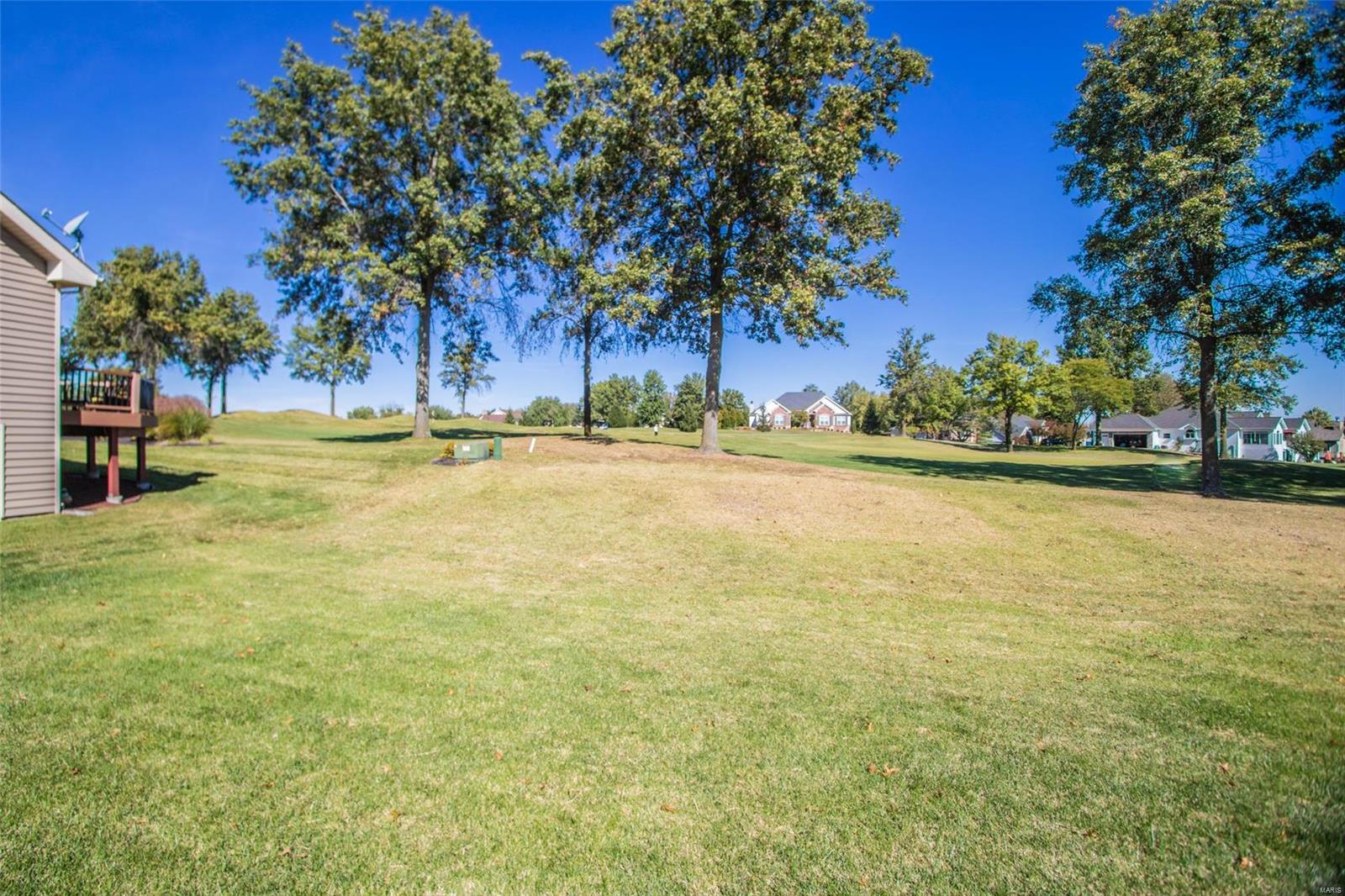 134 Roehampton Lane Weldon Spring, MO 63304 - Photo 68 of 96