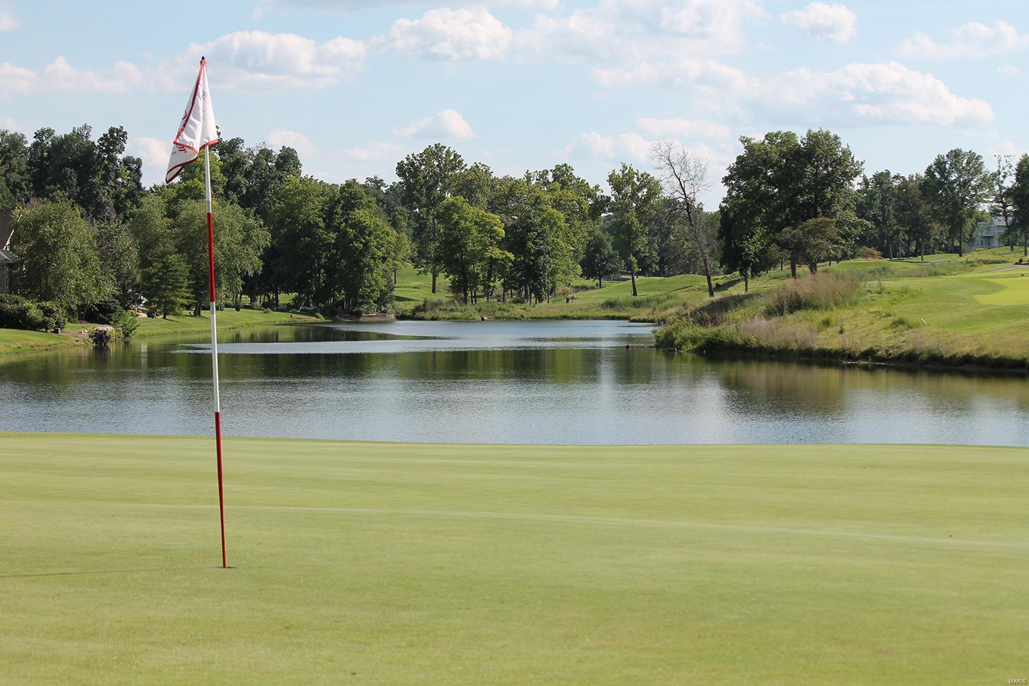 134 Roehampton Lane Weldon Spring, MO 63304 - Photo 88 of 96