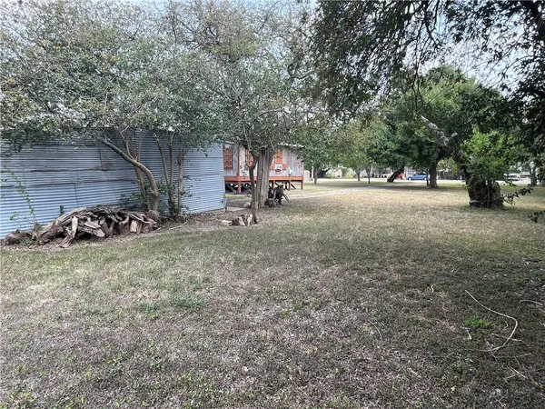 a view of a tree in the back yard