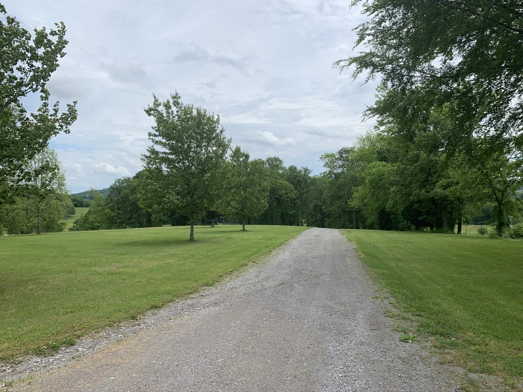 579 Rocky Road Liberty, TN 37095 - Photo 13 of 44 a view of a field and trees in the background