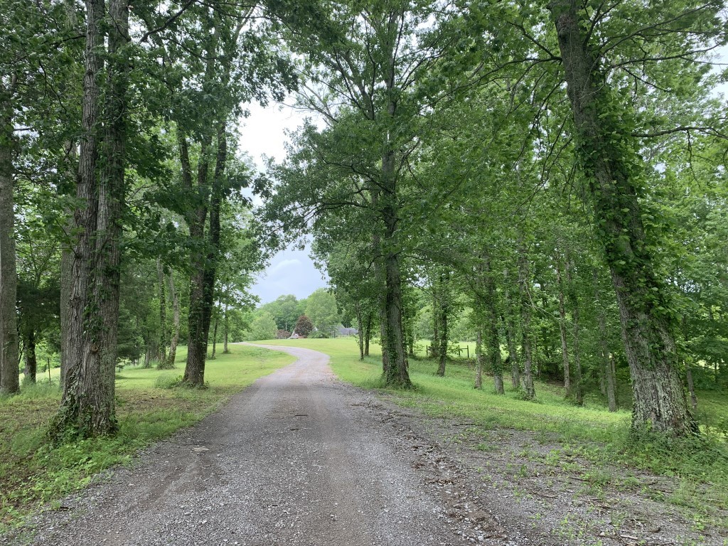 579 Rocky Road Liberty, TN 37095 - Photo 17 of 44 a view of outdoor space and trees