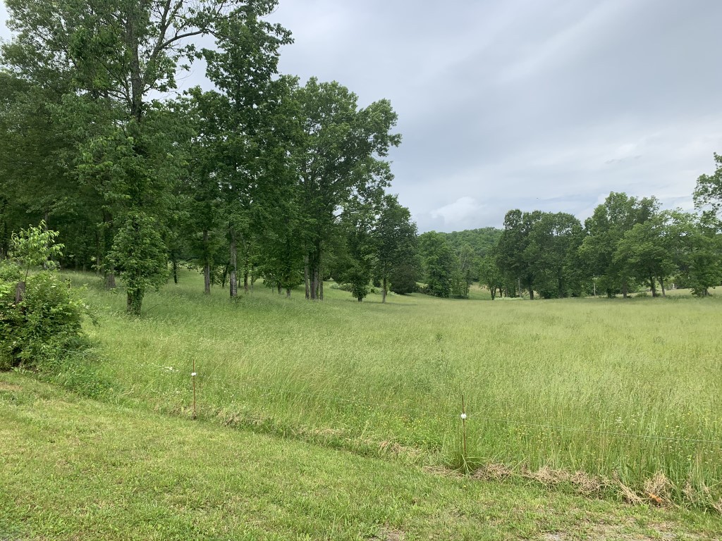 579 Rocky Road Liberty, TN 37095 - Photo 20 of 44 a view of outdoor space with green field and trees