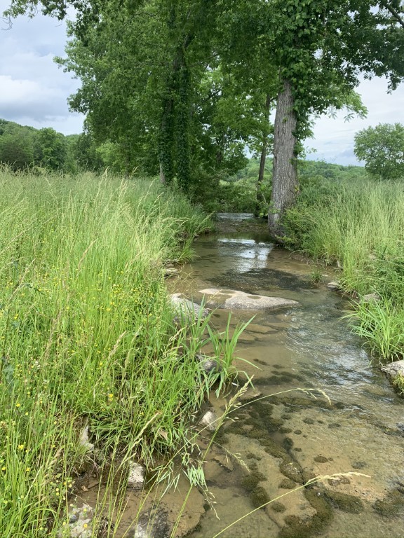 579 Rocky Road Liberty, TN 37095 - Photo 23 of 44 a backyard of a house with lots of green space