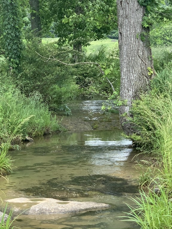 579 Rocky Road Liberty, TN 37095 - Photo 24 of 44 a view of a water view with a garden
