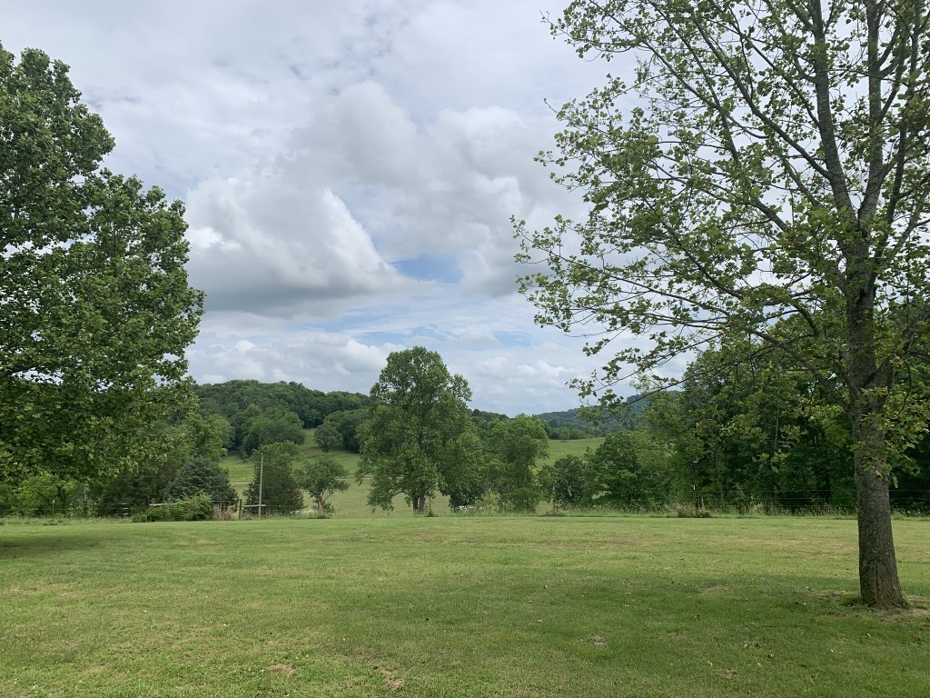 579 Rocky Road Liberty, TN 37095 - Photo 10 of 44 a view of a grassy field with trees