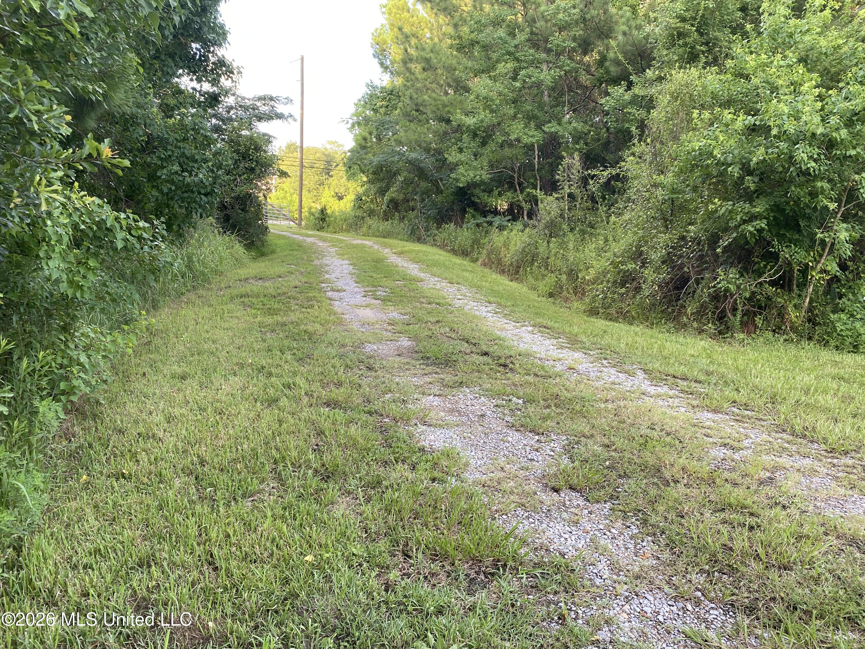 1441 Blue Meadow Road Bay St. Louis, MS 39520 - Photo 5 of 29 IMG_1706