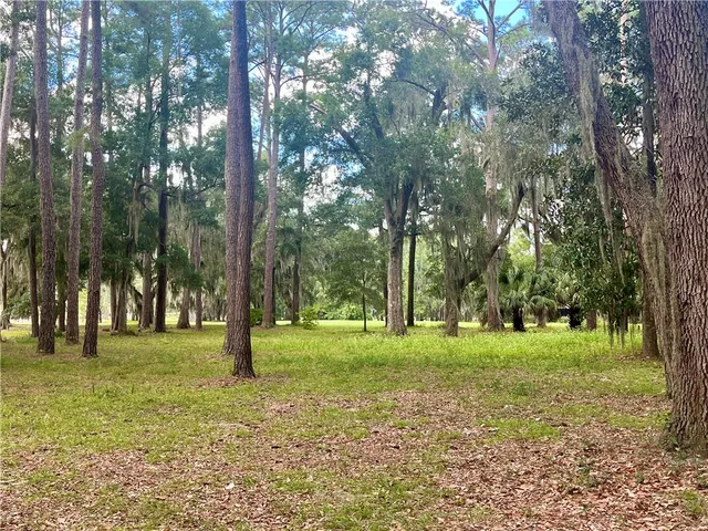 $80,000 | Lot 12-phase Sutherland Bluff Drive Northeast, Townsend, GA 31331