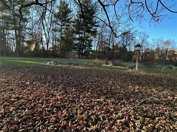 a view of a yard with a large trees