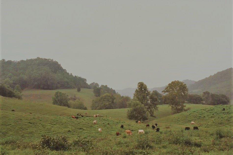 809 Mill Branch School Road Beattyville, KY 41311 - Photo 95 of 97 Photo 97