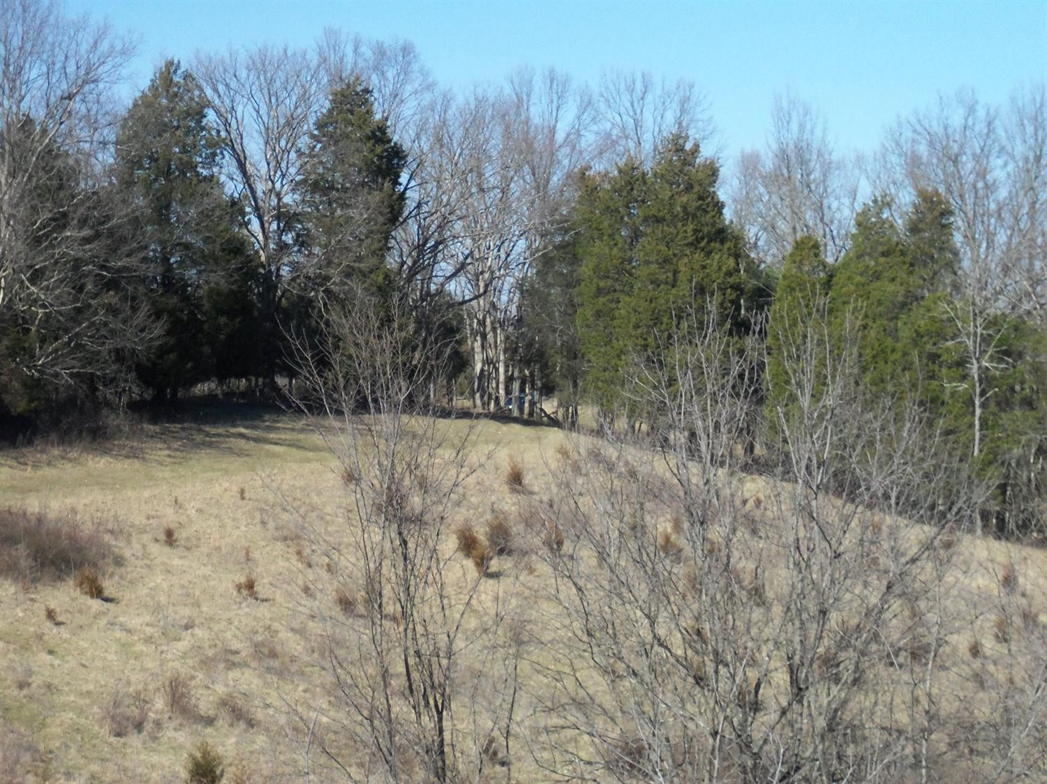2486 Cedar Road Frankfort, KY 40601 - Photo 36 of 65 Photo 36
