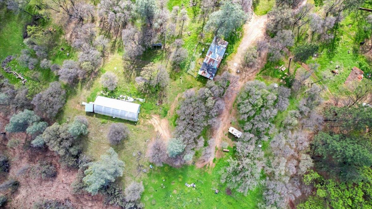 10447 Texas Hill Road Dobbins, CA 95935 - Photo 11 of 55 a view of a house with a yard
