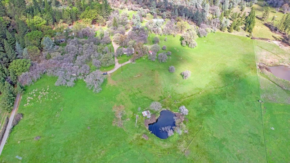10447 Texas Hill Road Dobbins, CA 95935 - Photo 3 of 55