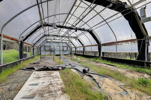 a view of a yard with plants and trees