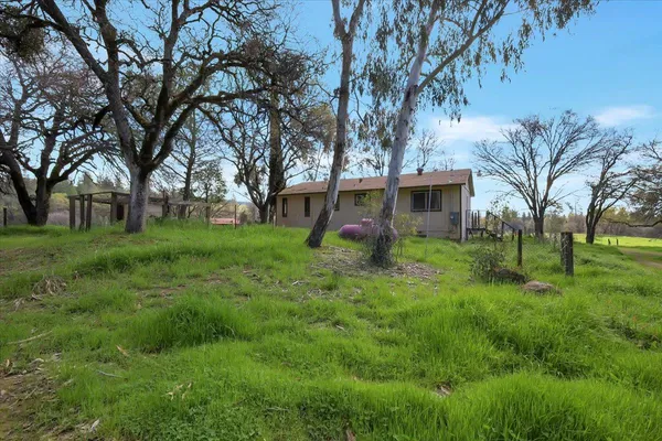 a backyard of a house with lawn chairs plants and large tree
