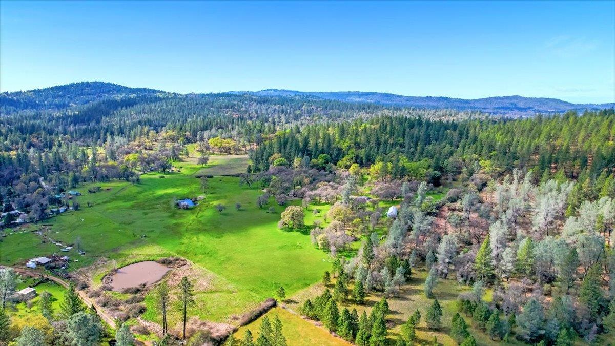 10447 Texas Hill Road Dobbins, CA 95935 - Photo 4 of 55 a view of a lush green hillside and houses