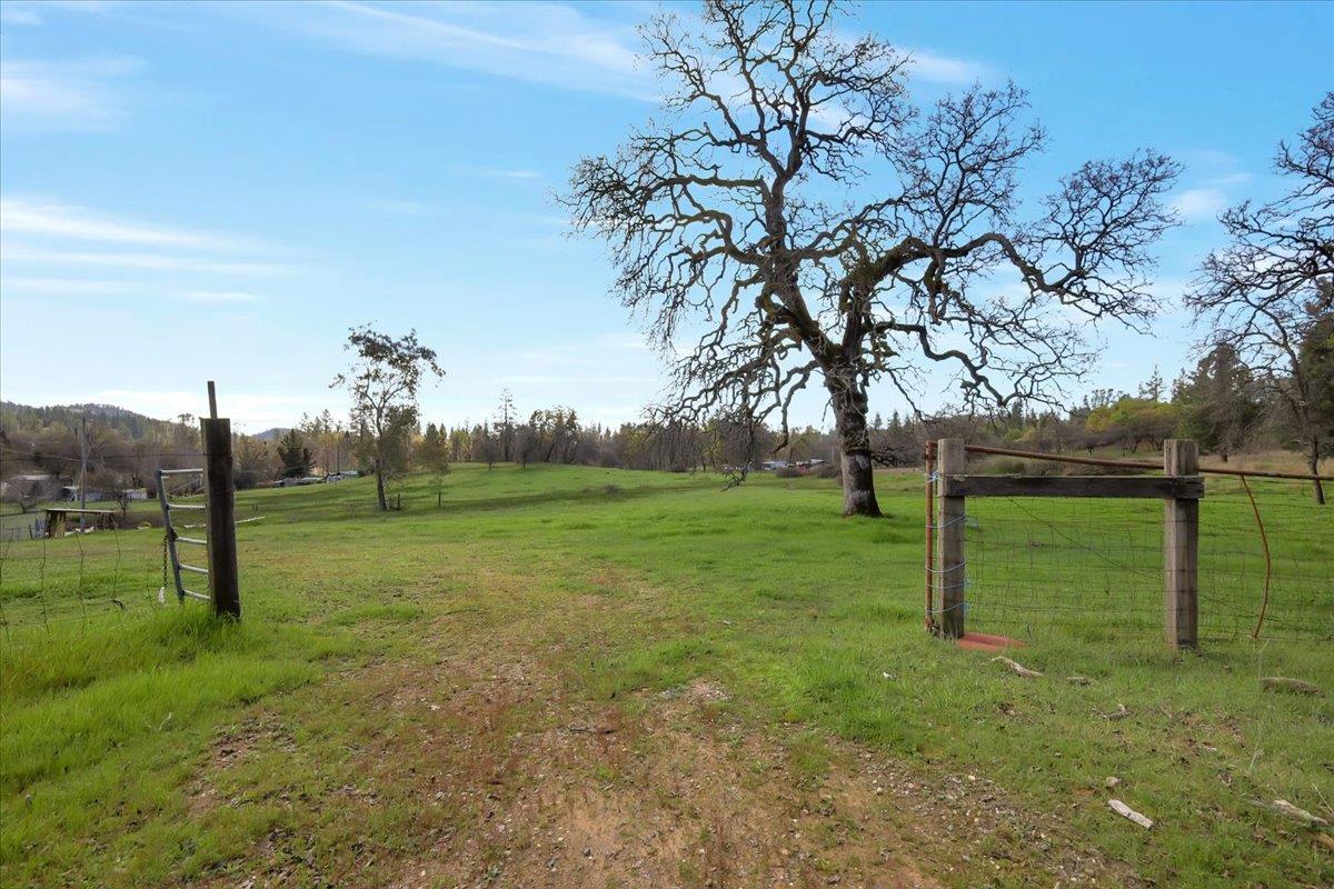 10447 Texas Hill Road Dobbins, CA 95935 - Photo 43 of 55 a view of field with tall trees
