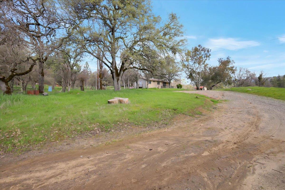 10447 Texas Hill Road Dobbins, CA 95935 - Photo 44 of 55 a backyard of a house with lots of green space