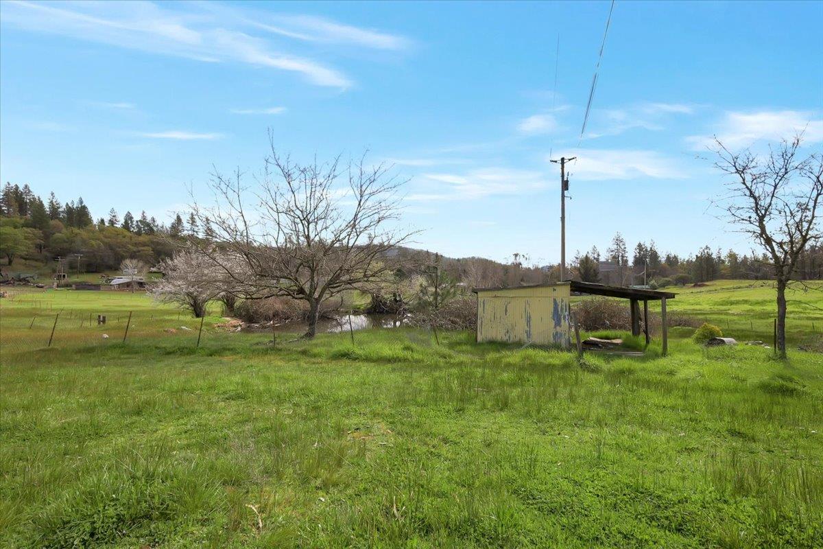 10447 Texas Hill Road Dobbins, CA 95935 - Photo 45 of 55 a backyard of a house with lots of green space