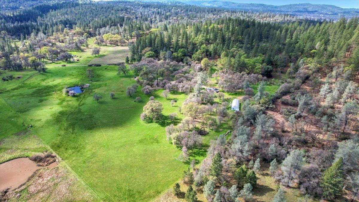 10447 Texas Hill Road Dobbins, CA 95935 - Photo 5 of 55 a view of a garden with an outdoor space