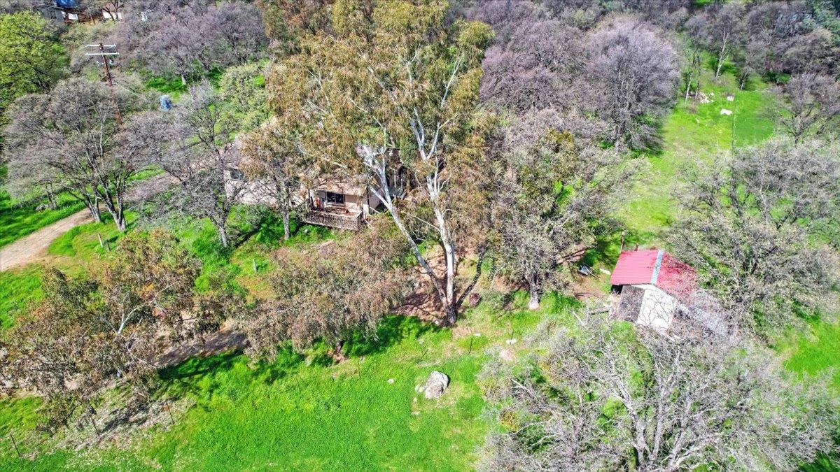 10447 Texas Hill Road Dobbins, CA 95935 - Photo 8 of 55 a backyard of a house with lots of green space