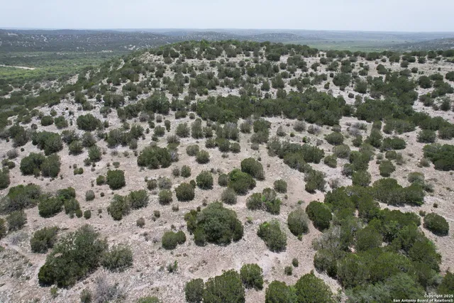 a view of a dry yard