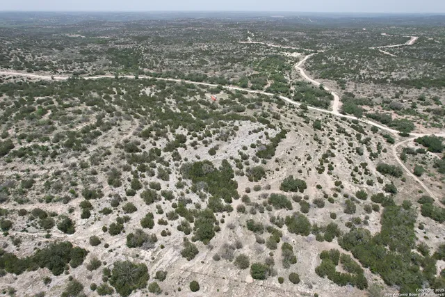 a view of a dry yard