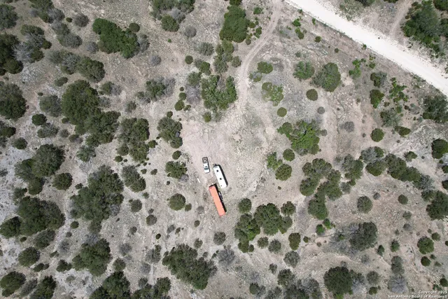 a view of a dry yard