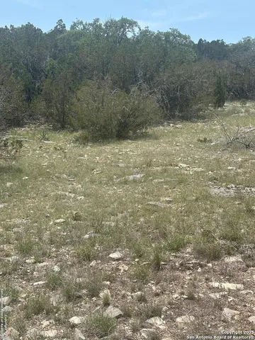 a view of a dry yard with trees in the background