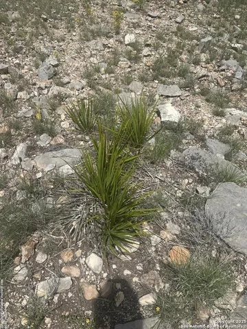 a view of lake with mountain