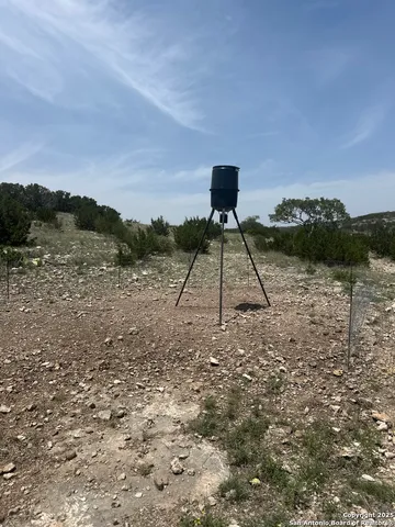 a close up of a plant