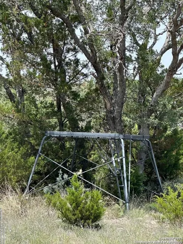a view of a yard with a trees
