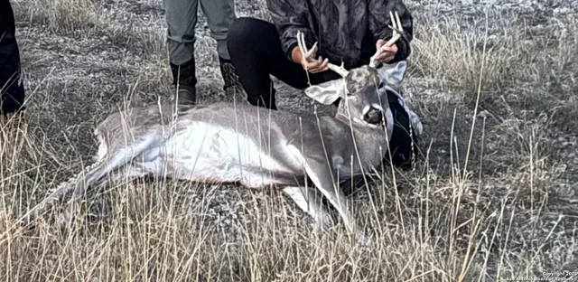 a view of city and mountain