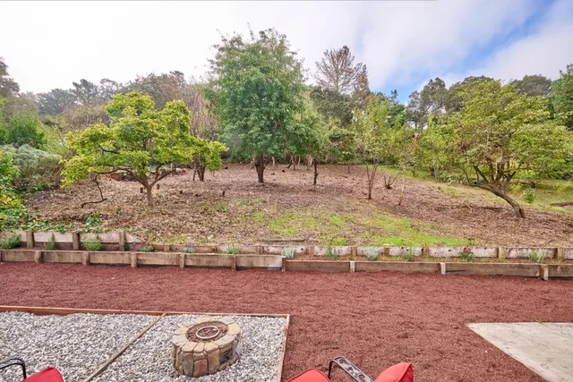 a view of a yard with an tree