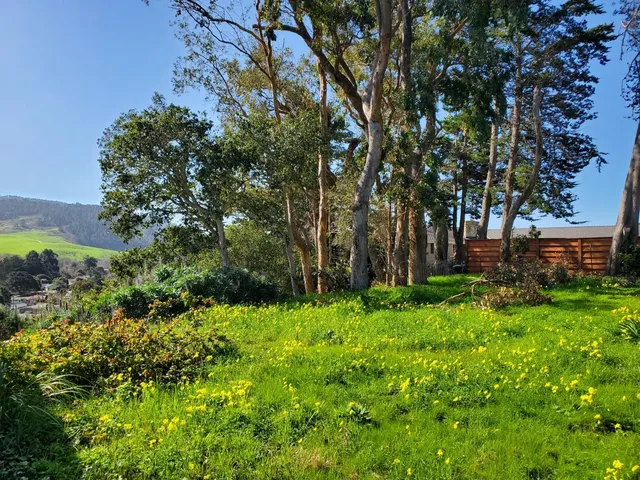 a backyard of a house with lots of green space