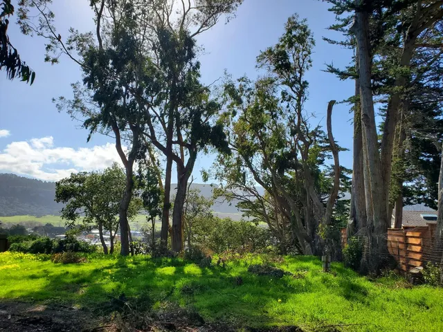 a view of outdoor space and yard