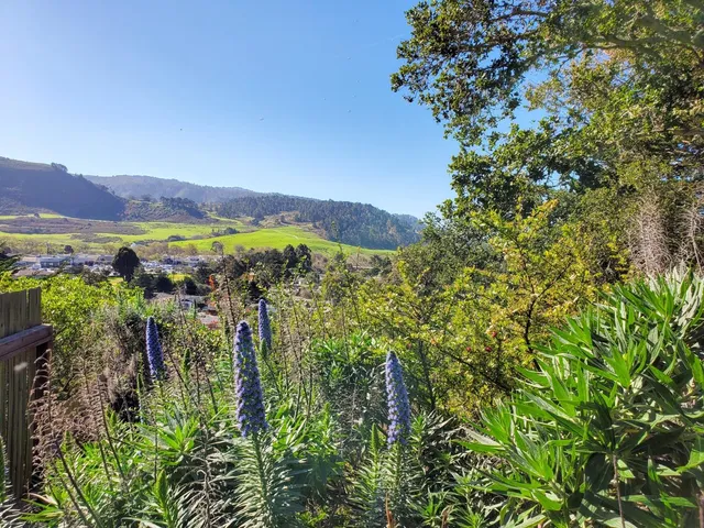a view of a city with lush green forest