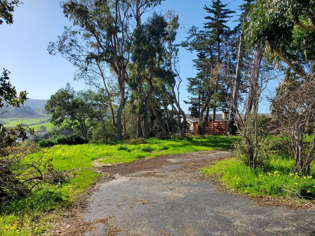 a view of yard with green space