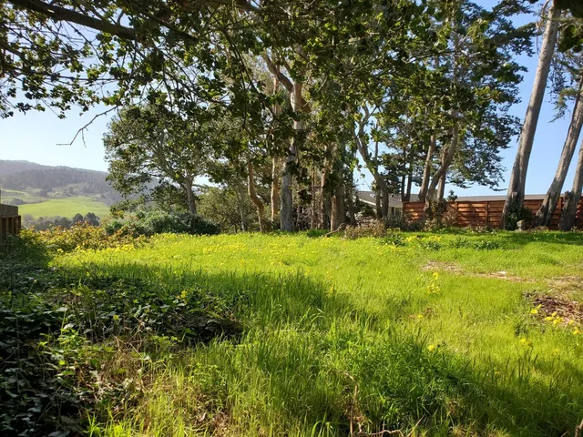 a view of a lake with a building in the background