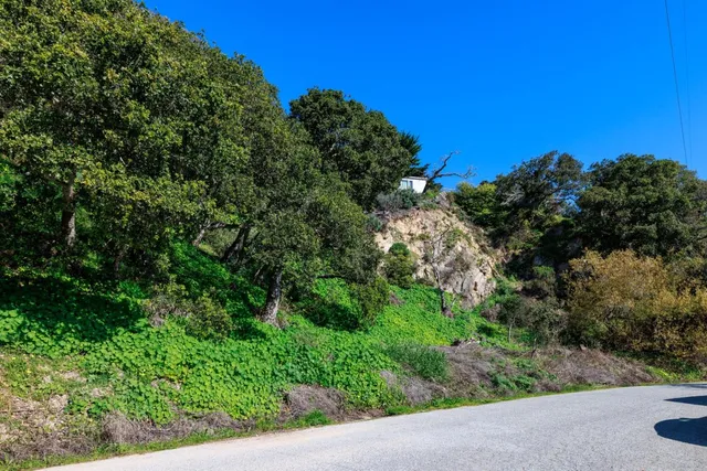 a view of a garden with a building in the background