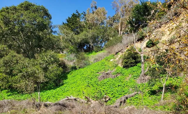 $750,000 | 3528 Lazarro Drive, Carmel, CA 93923