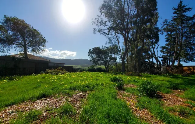 a view of a lake with a mountain