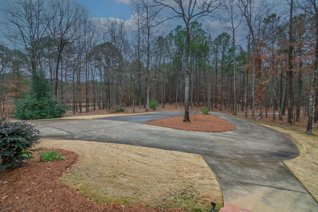 1578 Ga Highway Hamilton, GA 31811 - Photo 6 of 86