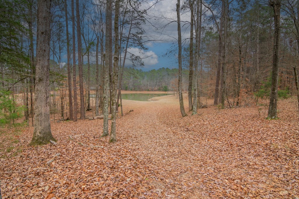 1578 Ga Highway Hamilton, GA 31811 - Photo 7 of 86