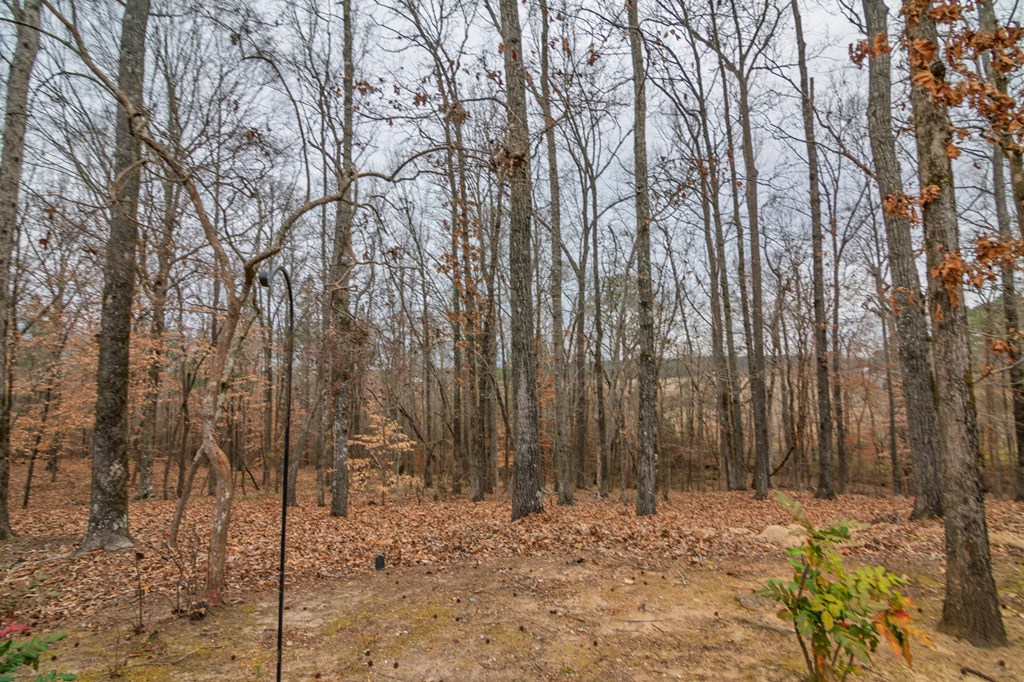 1578 Ga Highway Hamilton, GA 31811 - Photo 76 of 86