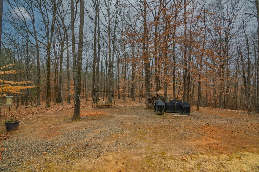 1578 Ga Highway Hamilton, GA 31811 - Photo 77 of 86