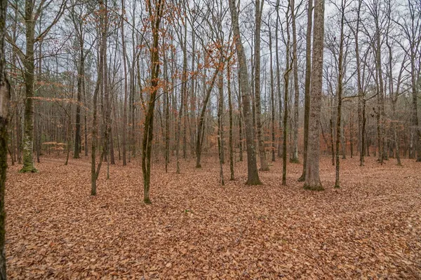 $925,000 | 1578 Ga Highway, Hamilton, GA 31811