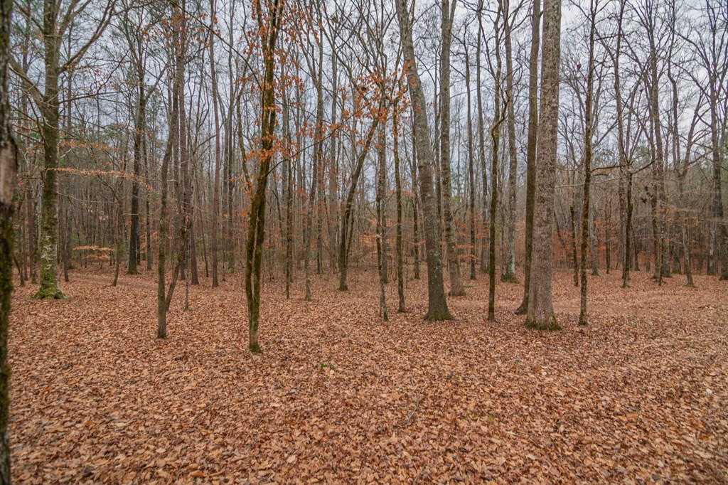 1578 Ga Highway Hamilton, GA 31811 - Photo 78 of 86